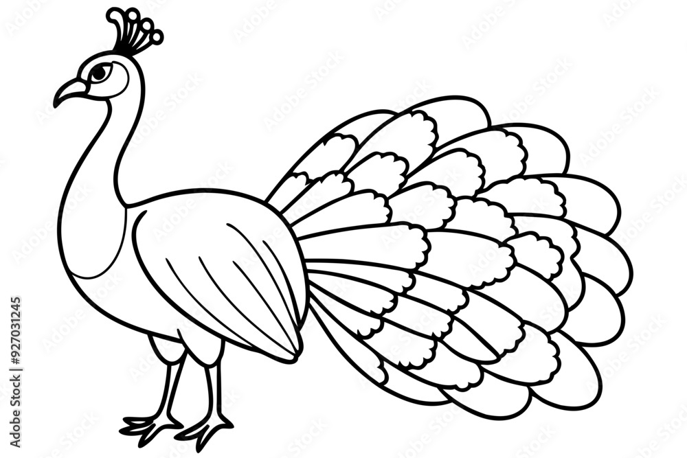 Peacock line art Peacock line art