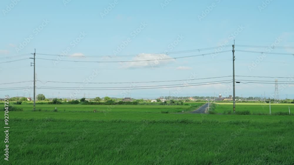 rural grass Japanese landscape with summer rice paddies rural grass Japanese landscape with summer rice paddies