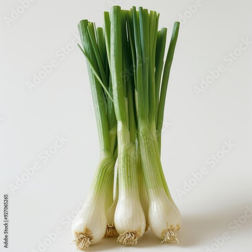 a bunch of onion stalks against a white background.