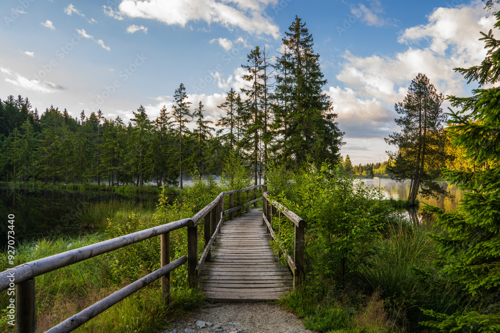 Fototapeta premium Picturesque view of a small lake in coniferous forest. Old wooden bridge. High quality photo. High quality photo. Fichtelsee, Bavaria, Germany