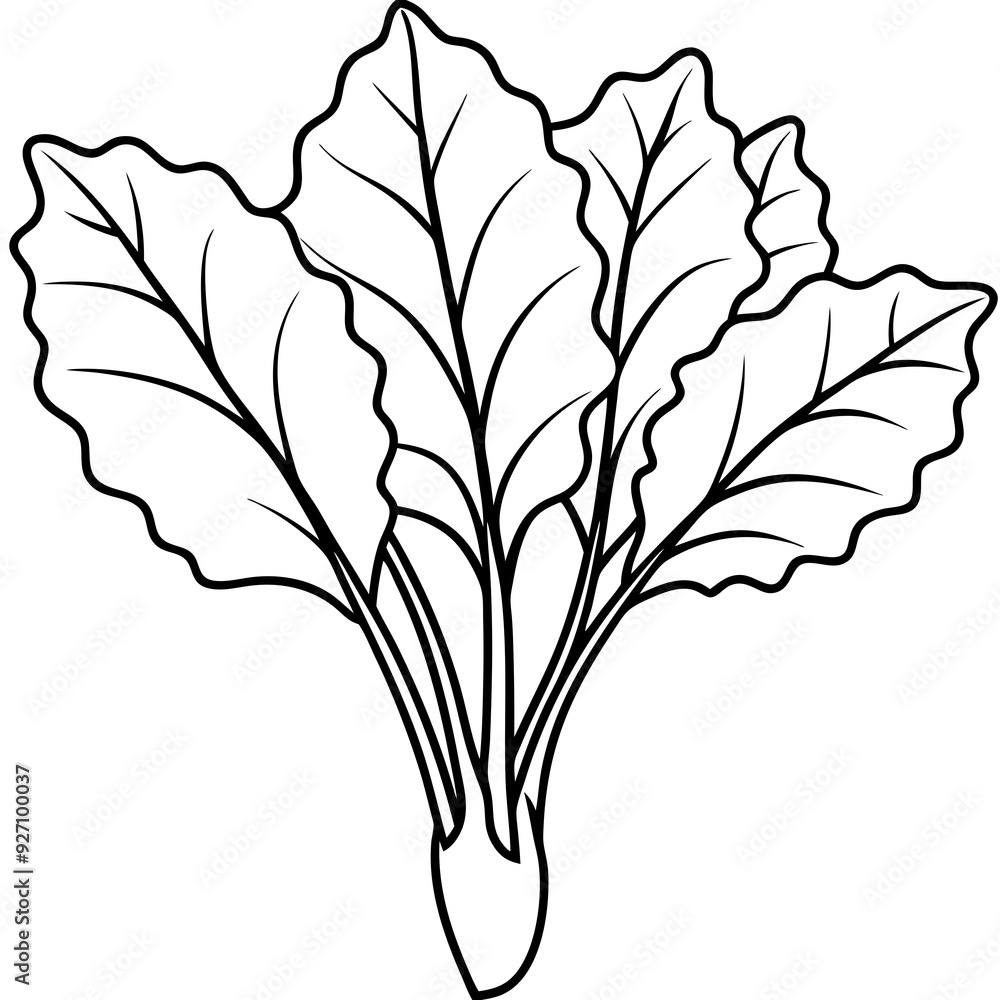 Food rhubarb line art Food rhubarb line art