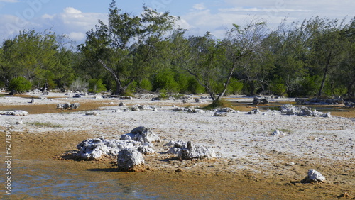 in einem ausgetrockneter See in Sumba - einer Insel in Indonesien - liegen am Grund malerisch weiße Korallensteine