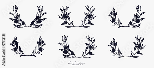 floral wreath olive Branch for olive oil logo or olive icon, hand drawn olive branch botanical herbs elements in vector format, floral olive frame
