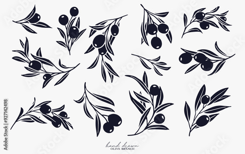Olive Branch for olive oil logo or olive icon, hand drawn olive branch botanical herbs elements in vector format, floral olive frame and border and virgin oil