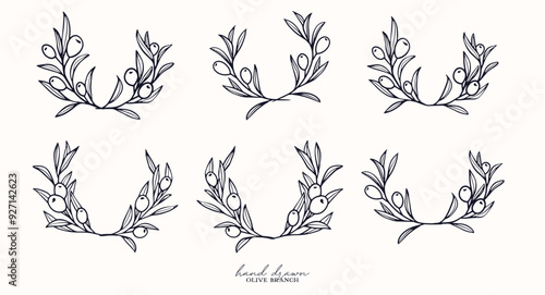 floral wreath olive Branch for olive oil logo or olive icon, hand drawn olive branch botanical herbs elements in vector format, floral olive frame