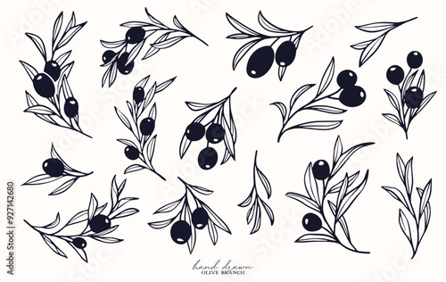 Olive Branch for olive oil logo or olive icon, hand drawn olive branch botanical herbs elements in vector format, floral olive frame and border and virgin oil