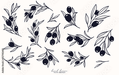 Olive Branch for olive oil logo or olive icon, hand drawn olive branch botanical herbs elements in vector format, floral olive frame and border and virgin oil