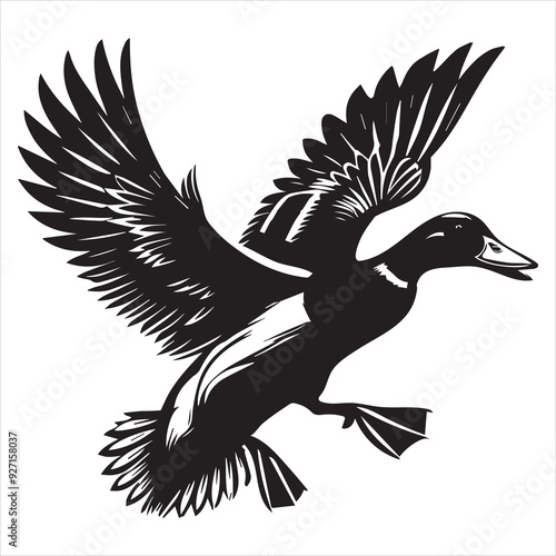 Mallard Silhouette,  Wild Duck Clipart,  Mallard in flight wings flapping downward illustration in black and white
