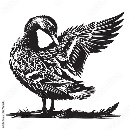 Mallard Silhouette,  Wild Duck Clipart, Mallard preening feathers under wing illustration in black and white