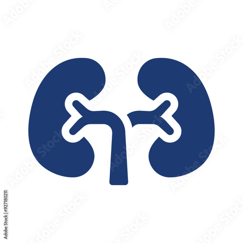 Kidneys icon