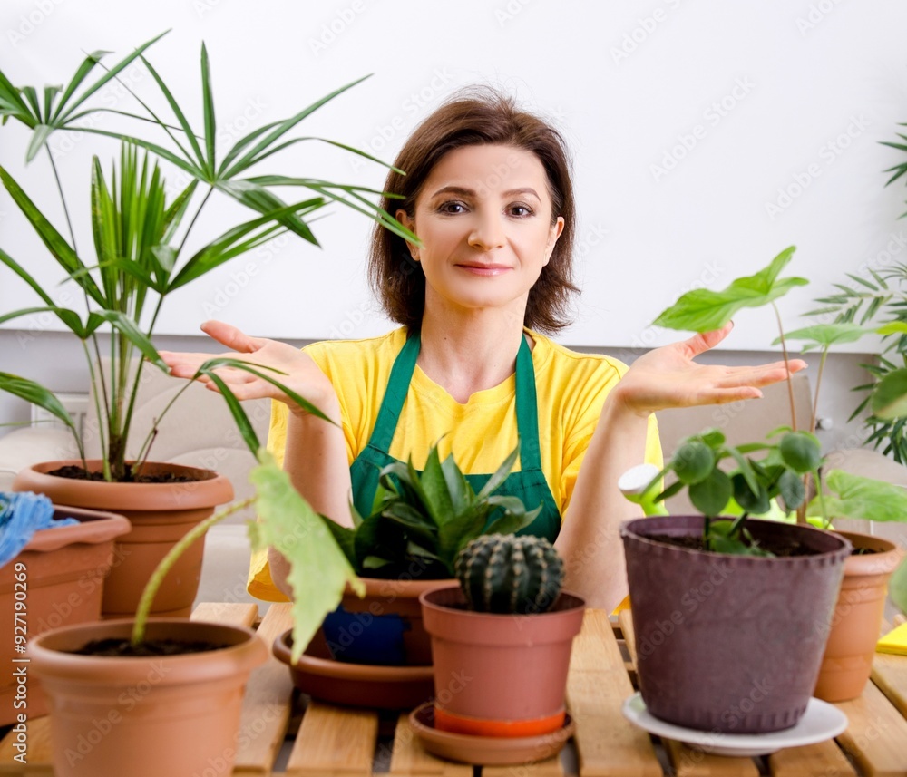 Female gardener with plants indoors Female gardener with plants indoors