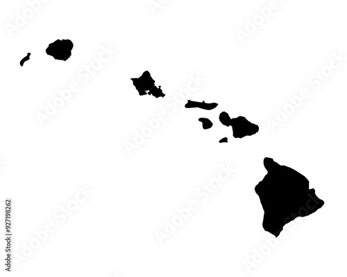 A contour map of USA Hawaii. Vector graphic illustration on a transparent background with black country's borders