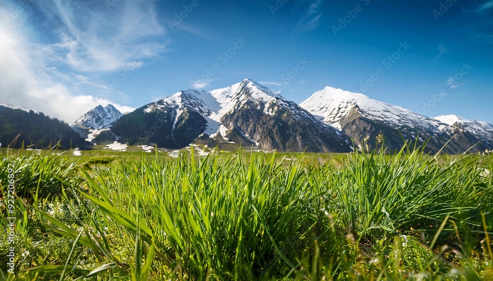 Fototapeta premium a bright spring scene with lush, fresh green grass in the foreground. GENERATIVE AI