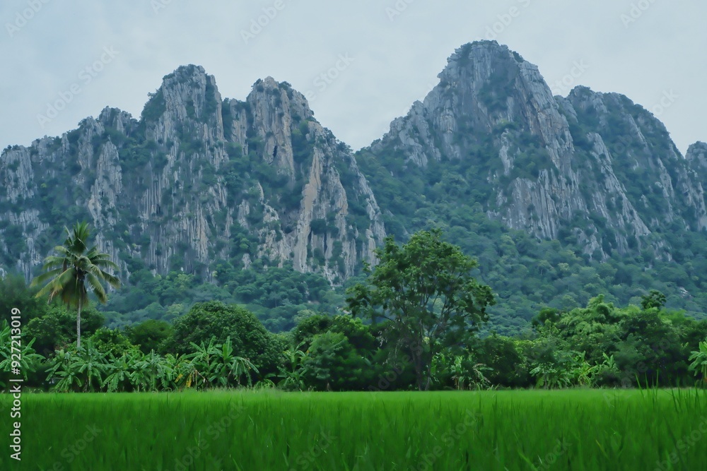 Landscape with mountains, trees and grasslands Landscape with mountains, trees and grasslands