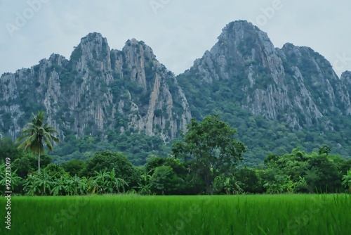 Landscape with mountains, trees and grasslands