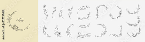 Set of elegant calligraphic botanical design elements, floral frame and graceful branches. Wedding wildflowers for invitation save the date card. Botanical feminine rustic vector illustration