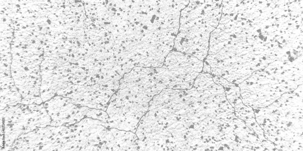 Fototapeta premium Abstract background with grunge white and black distress old cracked concrete wall vector texture design. vintage abstract texture of old surface rusty wall background. concrete stone wall texture. 
