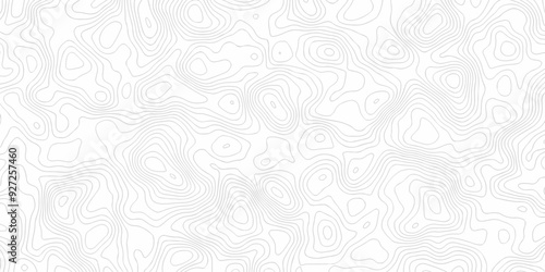 Abstract pattern with lines. Abstract sea map geographic contour map and topographic contours map background. Abstract white pattern topography vector background. Topographic line map background.