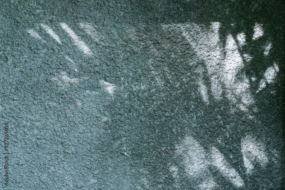 Leaves shadow on cement background