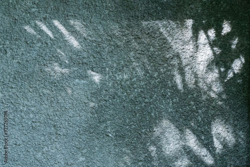 Obraz na płótnie Leaves shadow on cement background w salonie