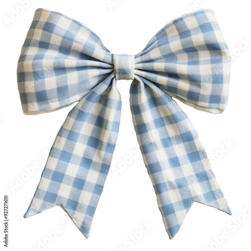 PNG Bow with blue and white checkered pattern