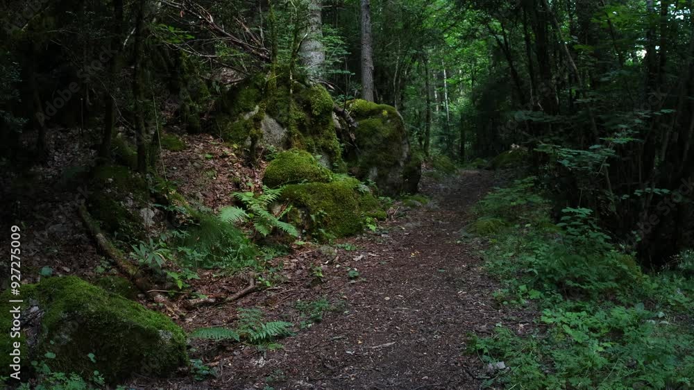 Tropical forest in the city of Andorra Tropical forest in the city of Andorra
