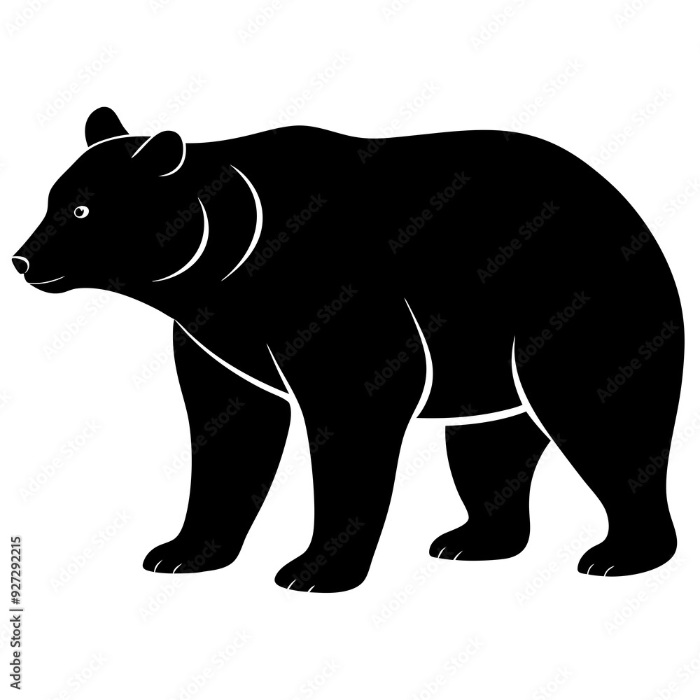illustration of a bear illustration of a bear