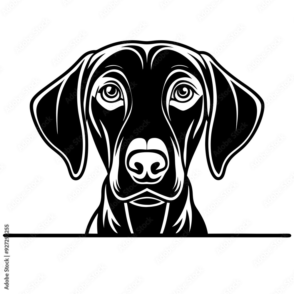 illustration of a dog illustration of a dog