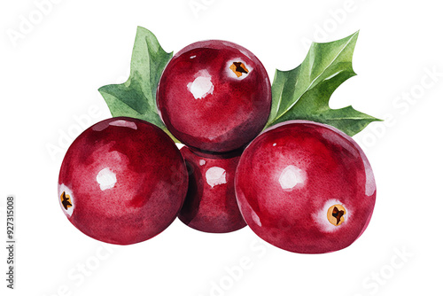 A vibrant watercolor illustration of three ripe red cranberries with green leaves, perfect for culinary or natural designs.