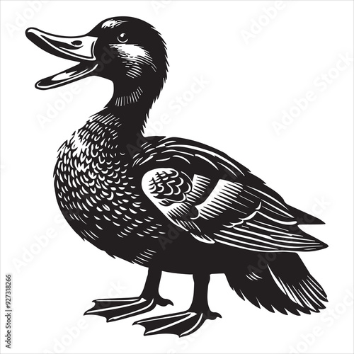 American Black Duck Silhouette,  Black Duck Clipart, American Black Duck calling illustration in black and white