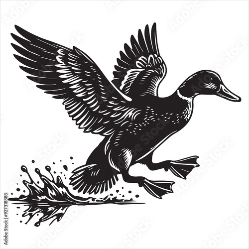 American Black Duck Silhouette,  Black Duck Clipart, American Black Duck landing illustration in black and white