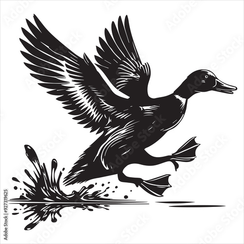American Black Duck Silhouette,  Black Duck Clipart, American Black Duck taking off illustration in black and white