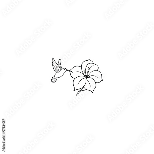 hummingbird with hibiscus flower on white background