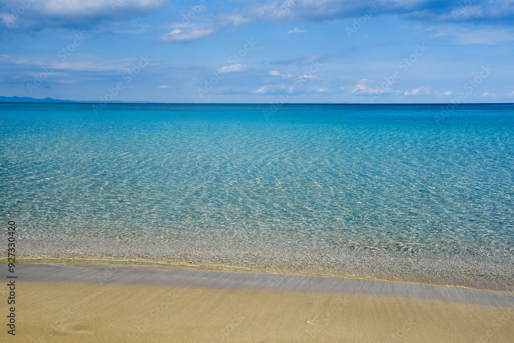 Fototapeta premium Empty sandy tropical exotic beach with with golden sand.