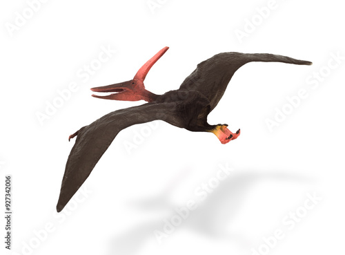 plastic toy pteranodon isolated on white