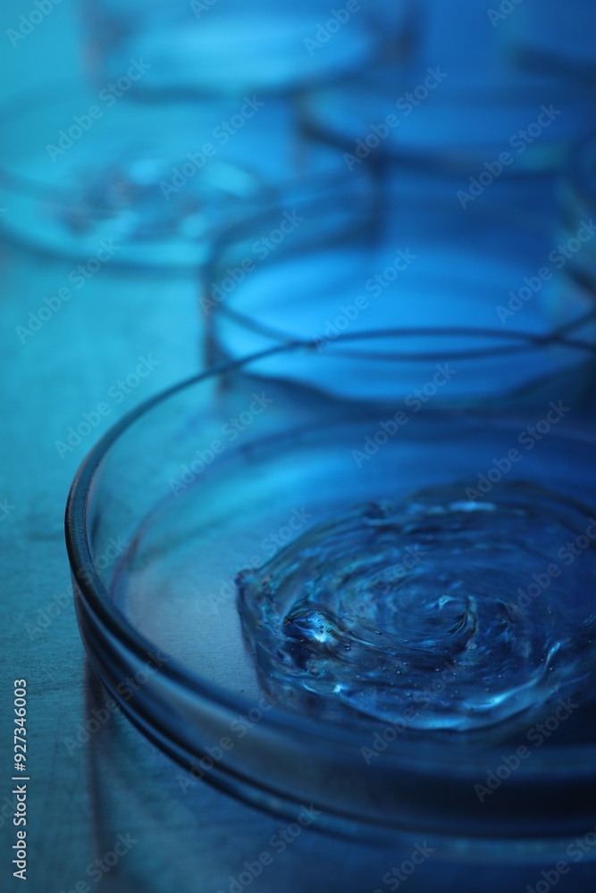 Petri dishes with samples on table, closeup. Color toned Petri dishes with samples on table, closeup. Color toned
