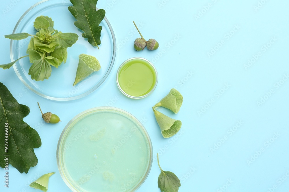 Petri dishes with samples and different fresh leaves on light blue background, flat lay Petri dishes with samples and different fresh leaves on light blue background, flat lay