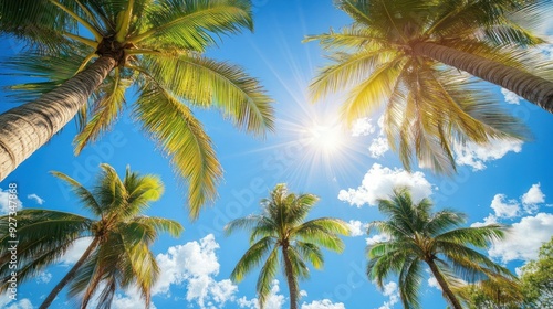 Wallpaper Mural Palm Trees against Blue Sky Torontodigital.ca