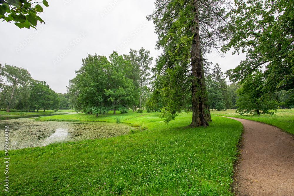 Fototapeta premium A park with a pond and a path