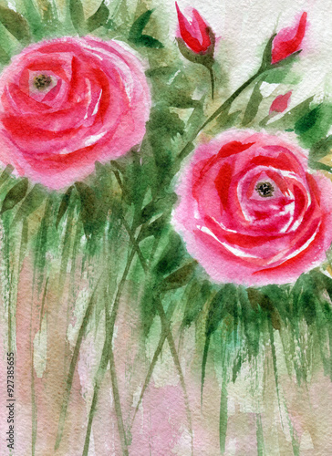 Summer bush of red roses, watercolor abstract