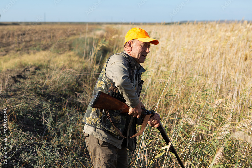 Mature man hunter with gun while walking on field. Mature man hunter with gun while walking on field.