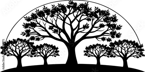 Beautiful Majestic Tree Silhouettes and Patterns