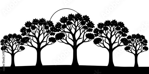 Beautiful Majestic Tree Silhouettes and Patterns