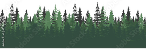 Forest Panorama view. Pines. Spruce nature landscape. Forest background. Set of Pine, Spruce and Christmas Tree on White background. Silhouette forest background. Vector illustration