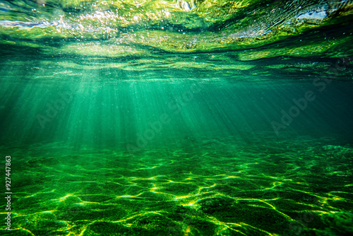 Sunlight pierces through the water illuminating the green ocean floor creating a serene and beautiful underwater scene