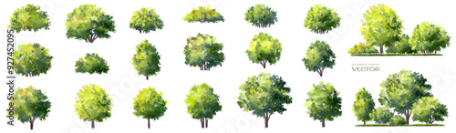 Vector watercolor green tree or forest side view isolated on white background for landscape and architecture drawing,elements for environment or and garden,Shrub for section