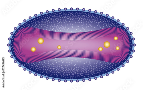 Understanding the biology of the Mpox virus: A potential public health threat.