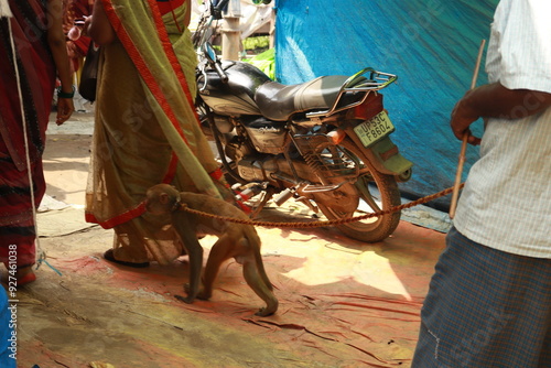 A madari wala Bandar or monkey with his master in a village photo