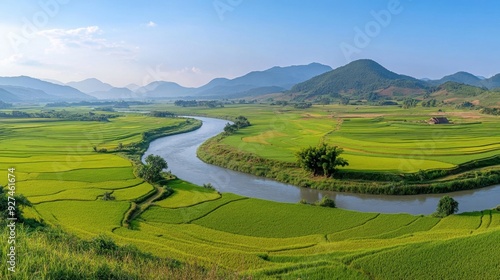 A panoramic view of rice fields in Vietnam, with a river winding through the landscape