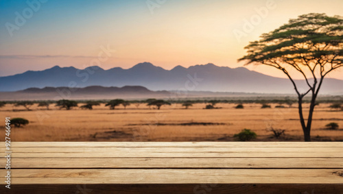 Empty the top of wooden table for produst display with blurred a landscape african wildlife background